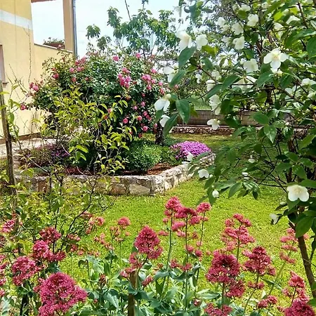 Appartement Horizont Kukci