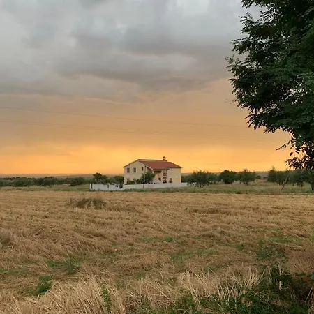 Horizont Kukci